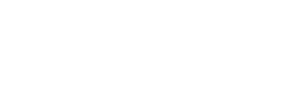 Zara Computers Logo